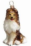 Shetland Sheepdog Sheltie